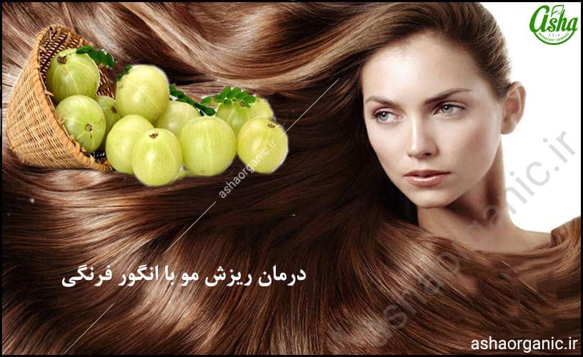 درمان طبیعی ریزش مو در خانه