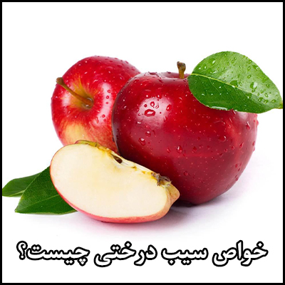 خواص سیب درختی چیست؟