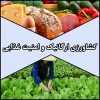 کشاورزی ارگانیک و امنیت غذایی