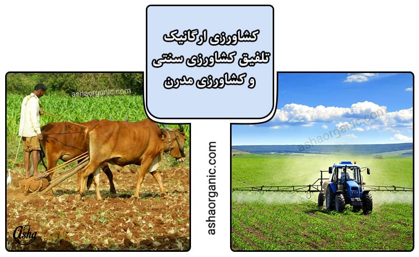 کشاورزی ارگانیک چیست؟