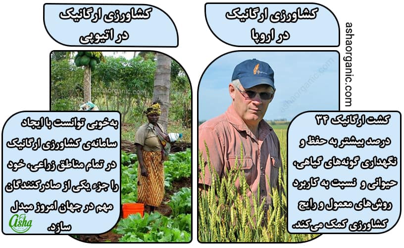 اهمیت کشاورزی ارگانیک