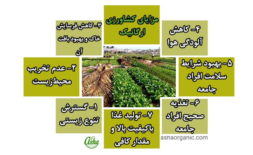 مزایای کشاورزی ارگانیک