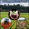 تفاوت کشاورزی سنتی، مدرن و ارگانیک