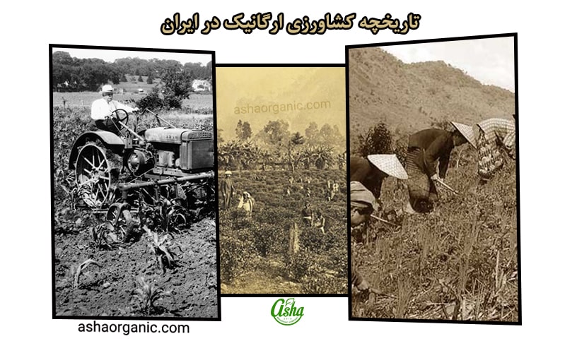 تاریخچه کشاورزی ارگانیک در ایران