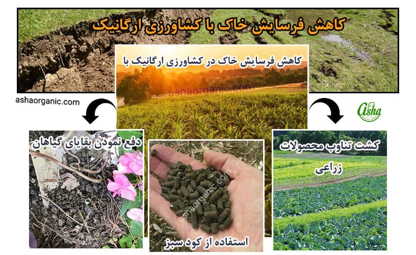 کاهش فرسایش خاک با کشاورزی ارگانیک