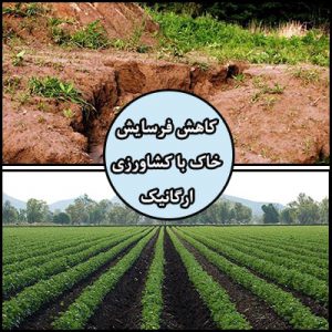 کاهش فرسایش خاک با کشاورزی ارگانیک