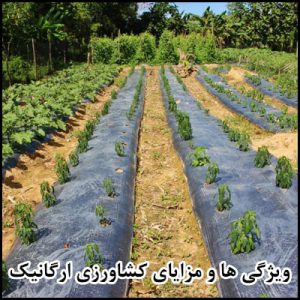 ویژگی ها و مزایای کشاورزی ارگانیک