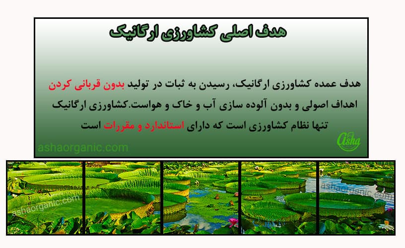 وضعیت کشاورزی ارگانیک در ایران