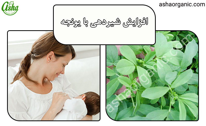 افزایش شیردهی مادران با گیاهان دارویی