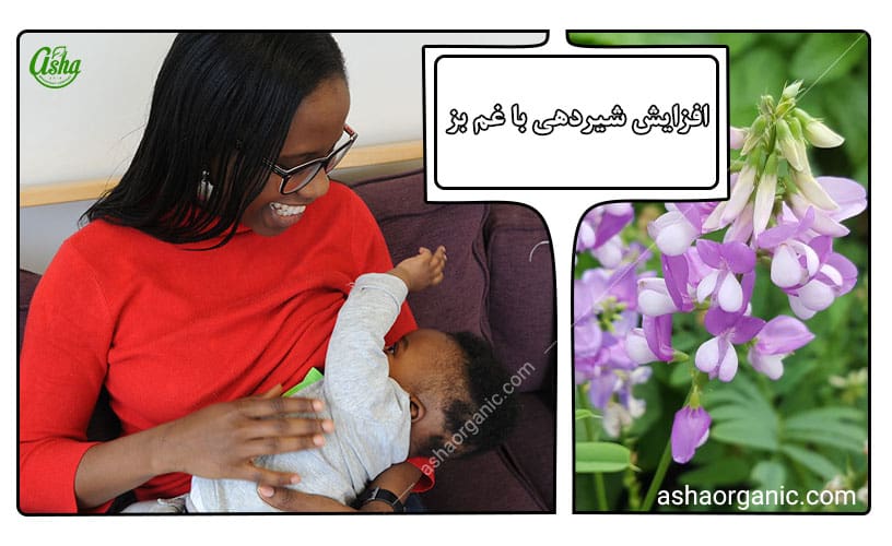 افزایش شیردهی مادران با گیاهان دارویی