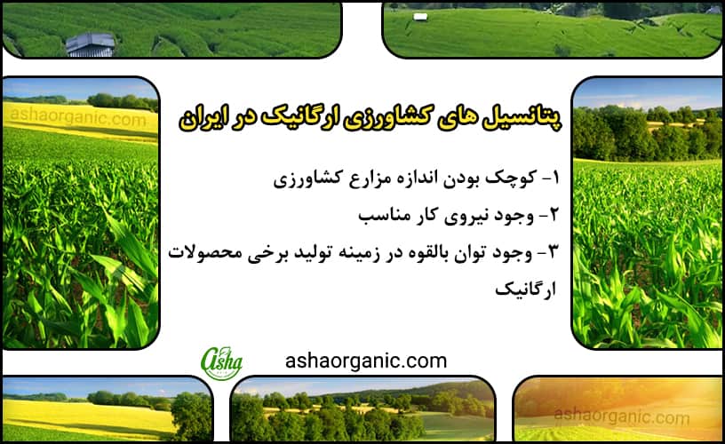 پتانسیل های کشاورزی ارگانیک در ایران