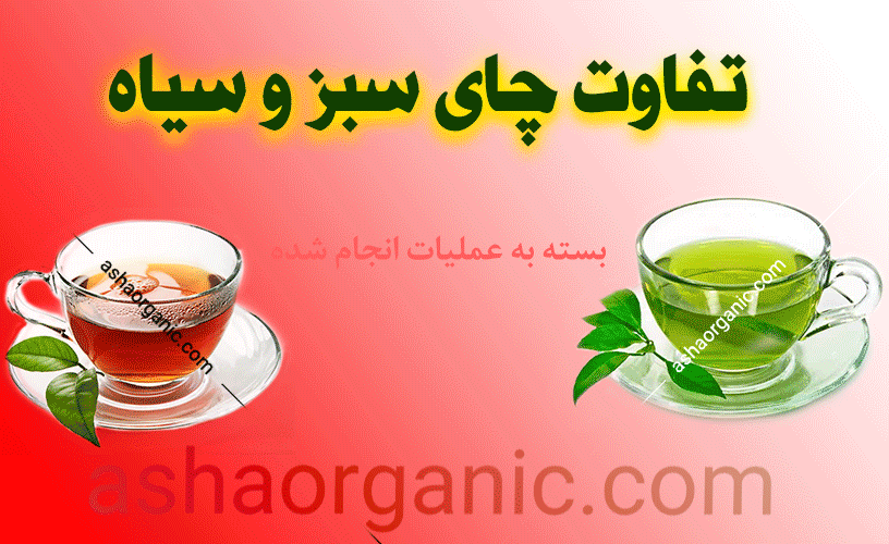 خرید عصاره چای سبز دکتر زرقانی