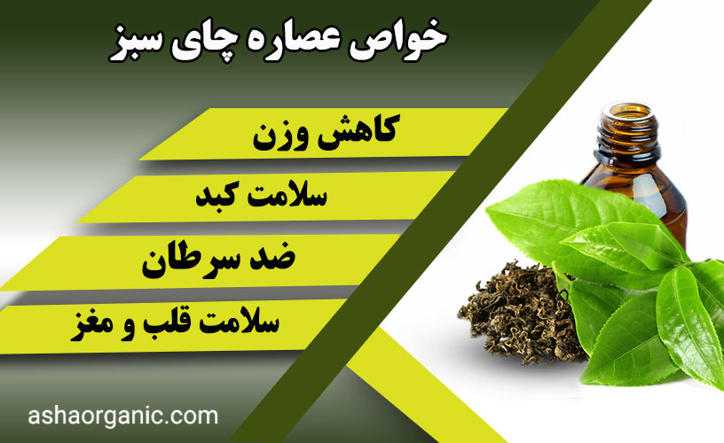 عصاره چای سبز چیست و چه خواصی دارد