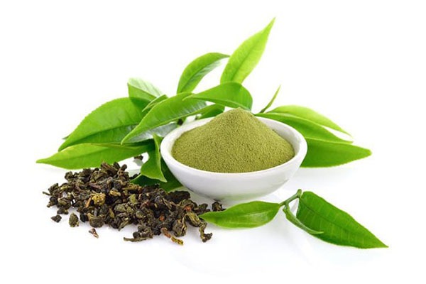 تولید کننده عصاره پودری چای سبز